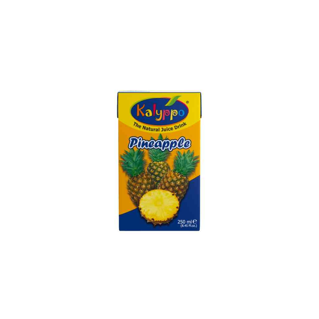 Kalyppo Fruit Drink 250ml