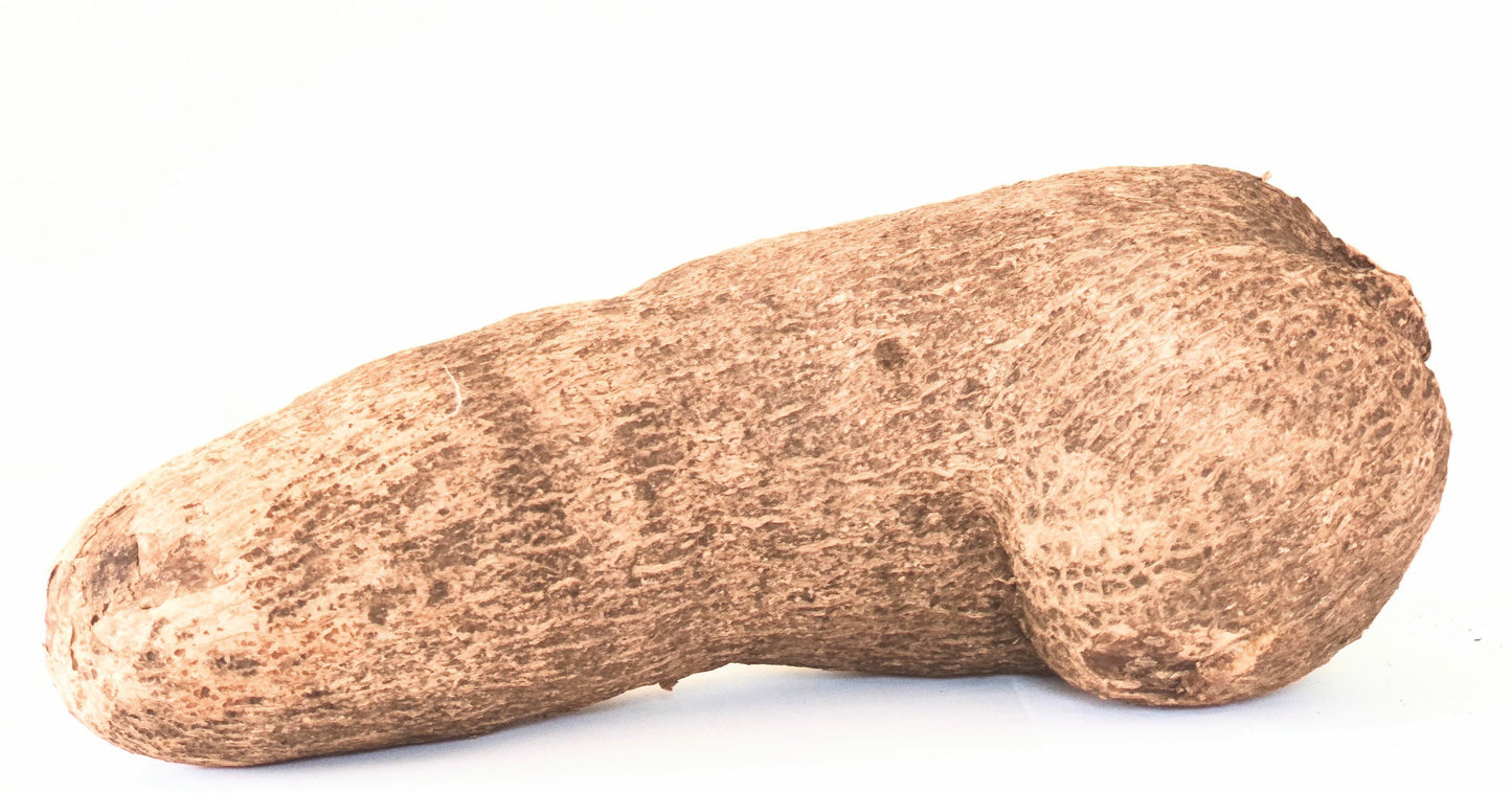 Tuber of yam