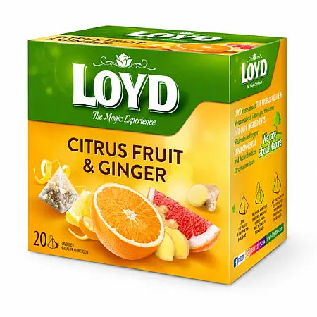 Loyd Ginger & Citrus Fruit Tea 2g