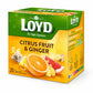 Loyd Ginger & Citrus Fruit Tea 2g