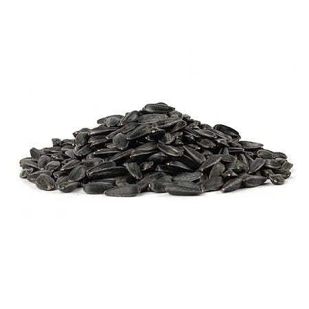 Bayara Souk Sunflower Seeds Salted price per 100g