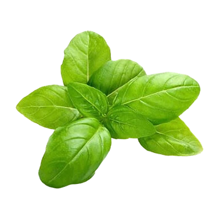 Basil Import Pack 100g