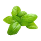 Basil Import Pack 100g