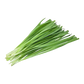 Chives Import Pack