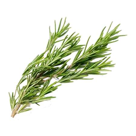 Rosemary Import Pack Flowpack