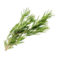 Rosemary Import Pack Flowpack