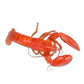 Fresh Lobsters ±840g