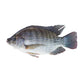 Fresh Tilapia ±500g