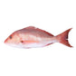 Fresh Snapper Fish ±250g