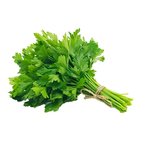 Parsley Flat Import Pack