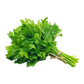 Parsley Flat Import Pack