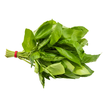 Basil MG Pack 40g