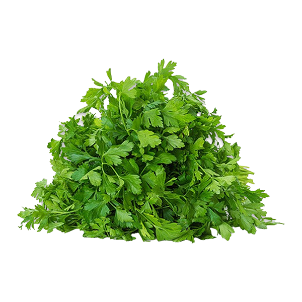 Parsley MG Pack 100g