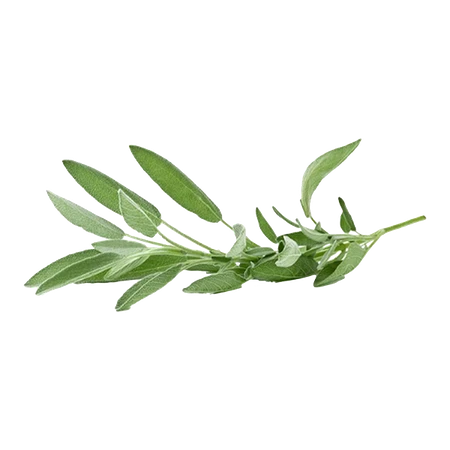 Herbs Sage 100g
