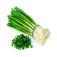 Spring Onion Tfm 1pack