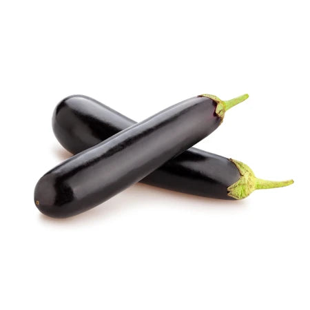 Egg Plant-Tfm 1pack