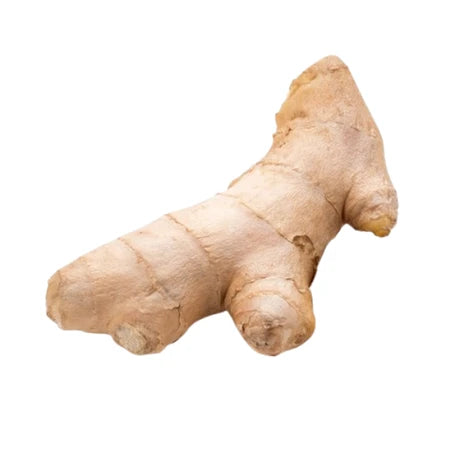 Ginger-Apl 1pack