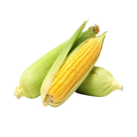 Sweet Corn-Apl 1pack