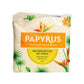 Papyrus Napkin