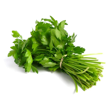 Coriander 50g