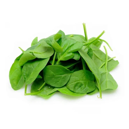 Spinach Hkc 1pack
