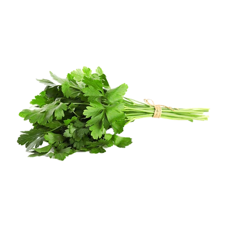 Herbs Coriander Pack 100g