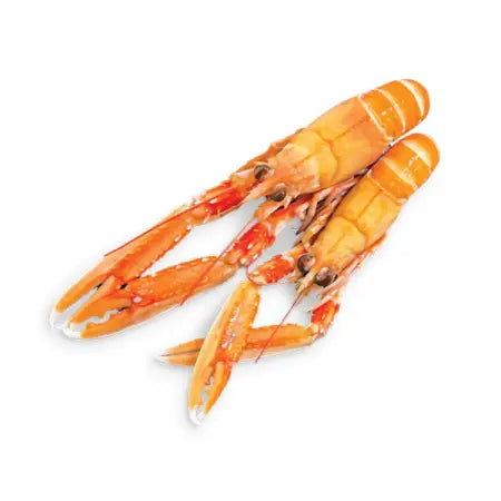 Langoustine Crue ±1kg
