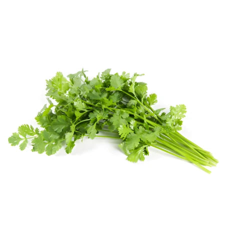 Coriander Pm Pack 100g