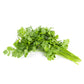 Coriander Pm Pack 100g