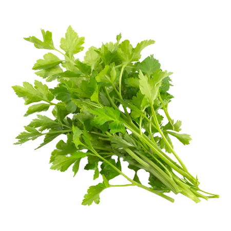 Parsley EGY Pack 150g