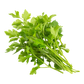 Parsley EGY Pack 150g