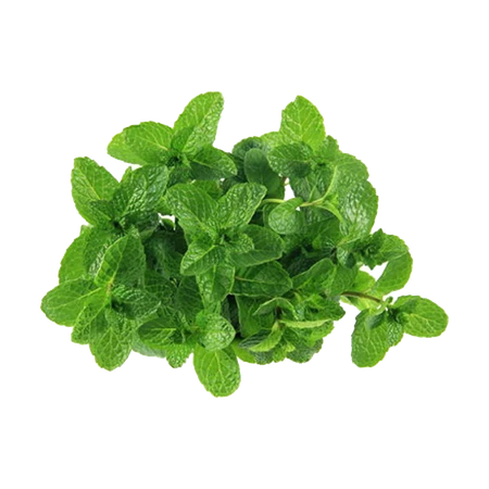 Mint Import Pack 100g