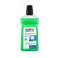 Sairo Mouthwash Fresh Mint 500ml