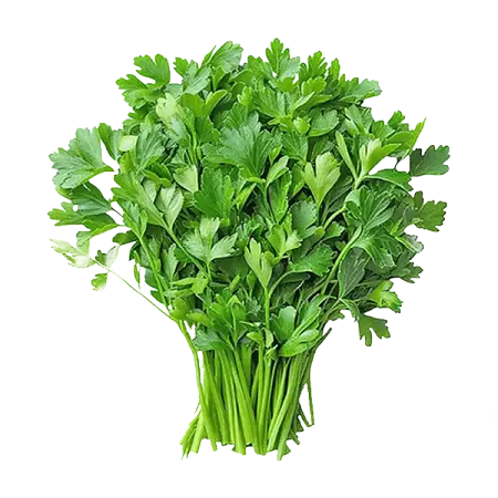 Coriander MG Pack 70g