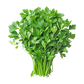 Coriander MG Pack 70g