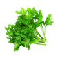 Parsley MG Pack 70g