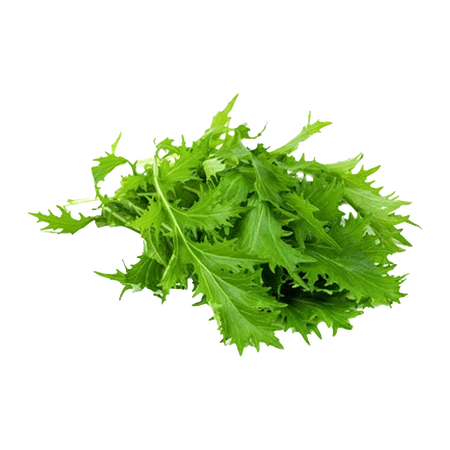 Baby Leave Mizuna Green Pack 125g