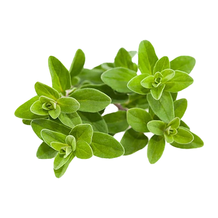 Herbs Marjoram 100g