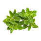 Herbs Marjoram 100g