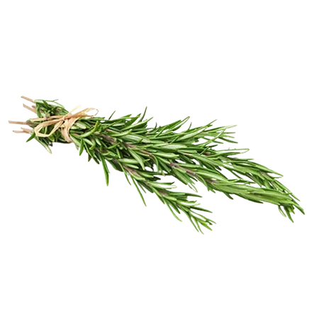 Herbs Rosemary Clamshell 20g