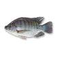 Fresh Tilapia 455g (6735)
