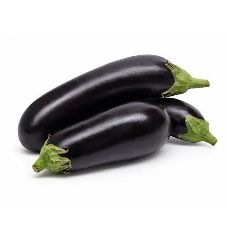 Aubergine OCL Pack