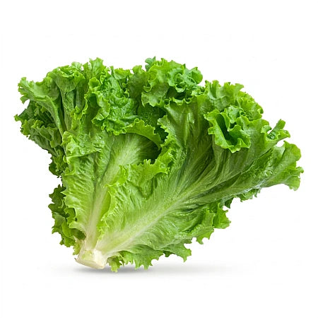 Lettuce Pack Ocl Pack