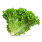 Lettuce Pack Ocl Pack