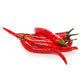 CHILLI PEPPER PACK OCL