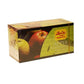 Zesta Apple Tea 18g