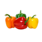 Coloured Peppers (Import ) ±1kg