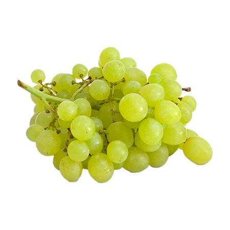 Grape White Seedless Large Pack