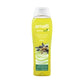 Amalfi Shower Gel Olive 750ml