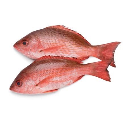 Fresh Red Fish 1kg